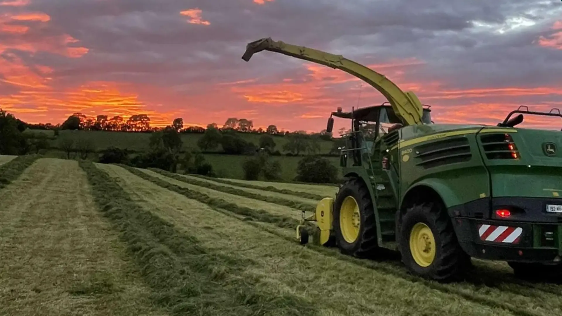 Forage harvester working a cut grass field under a sunset sky.