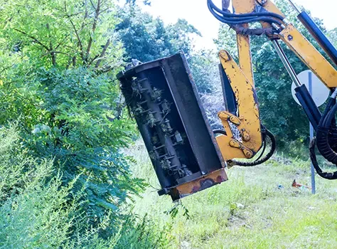 Flail attachment clearing scrub and trees at the edge of a site.